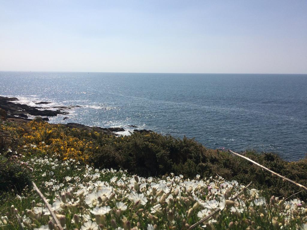 La Belle Relax - Calme Et Tranquillite Assures - 2 Personnes Bed and Breakfast Moëlan-sur-Mer Εξωτερικό φωτογραφία