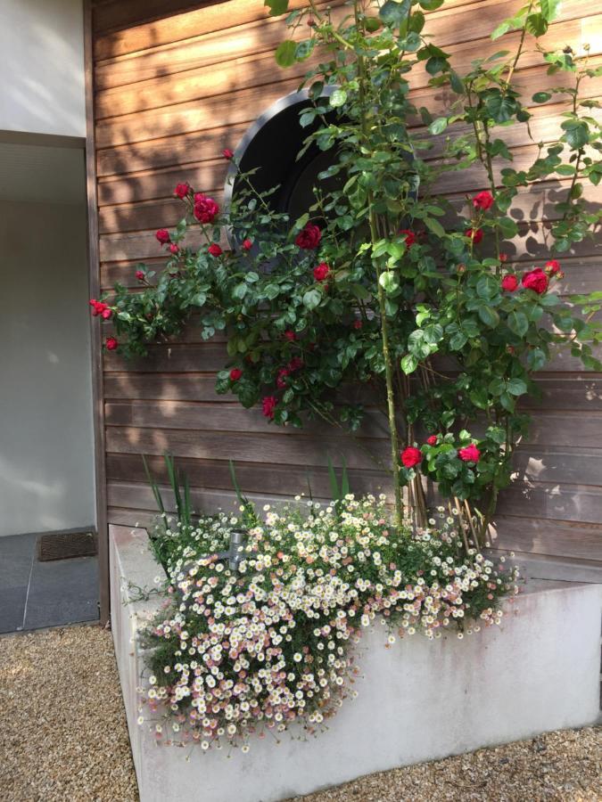La Belle Relax - Calme Et Tranquillite Assures - 2 Personnes Bed and Breakfast Moëlan-sur-Mer Εξωτερικό φωτογραφία
